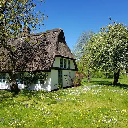 Dom wakacyjny Thatched In The Meadow