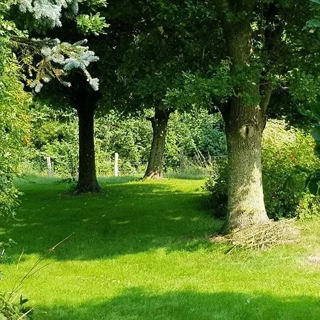 Dom wakacyjny Thatched In The Meadow Gulde