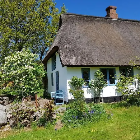 Thatched In The Meadow