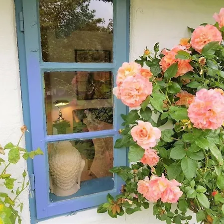 Thatched In The Meadow * Gulde