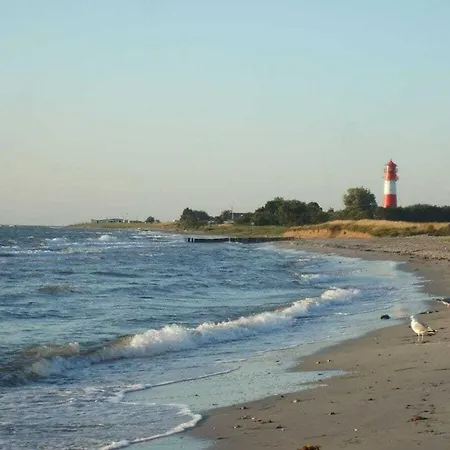 Thatched In The Meadow *