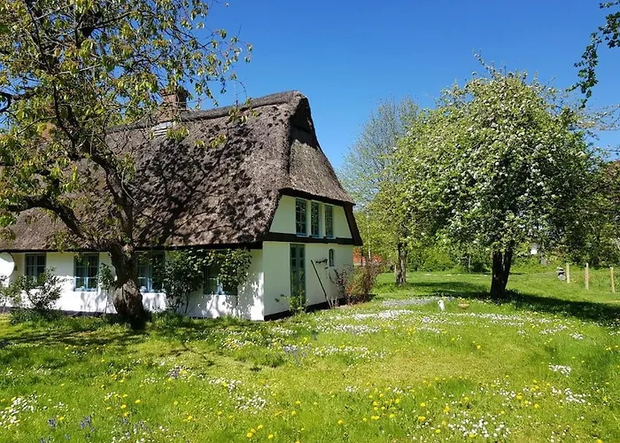 別荘 Thatched In The Meadow