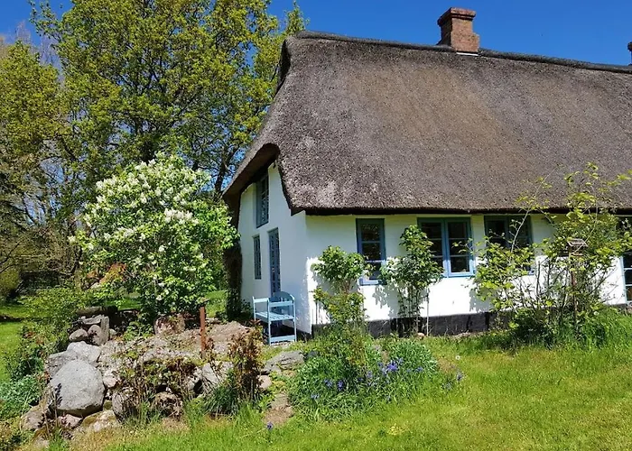 Thatched In The Meadow