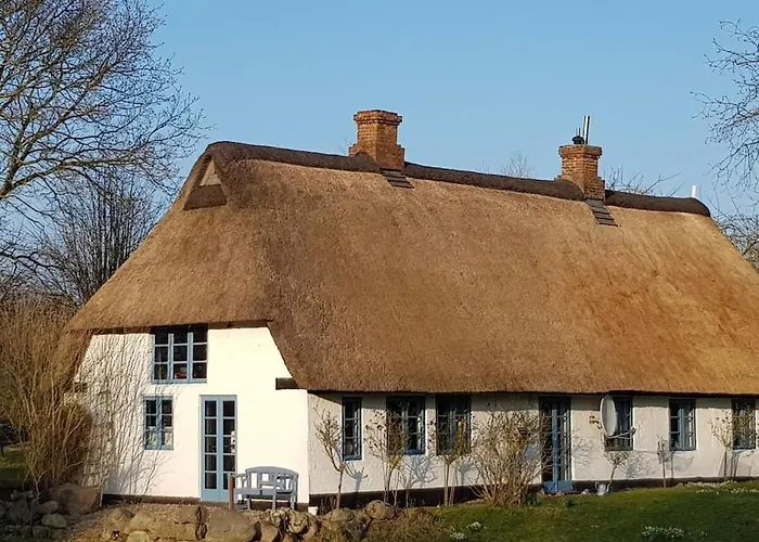 Thatched In The Meadow 別荘